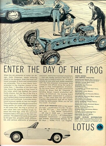 64_enter_day_frog