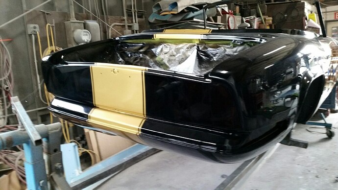 paint-done-tail.jpg