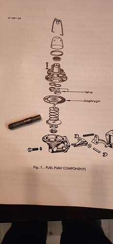20241126_232050.jpg