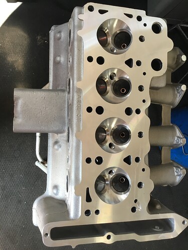 New Head (3).jpeg