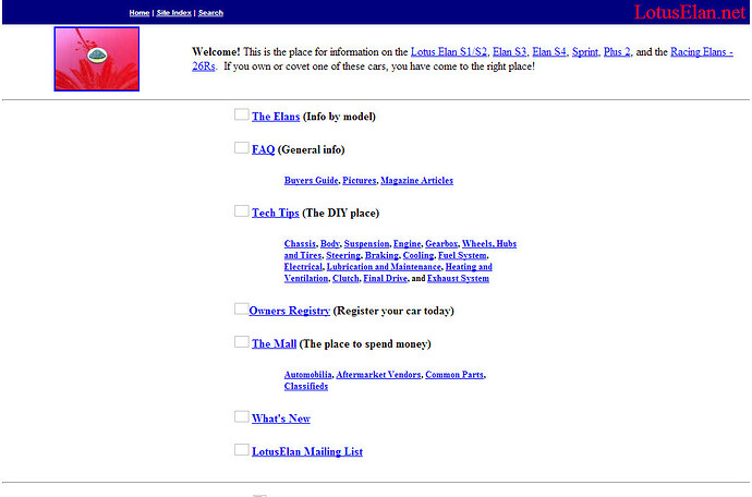 1999-Homepage.jpg