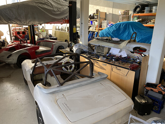 Elans multiplying at the Shed IMG_7518.jpg