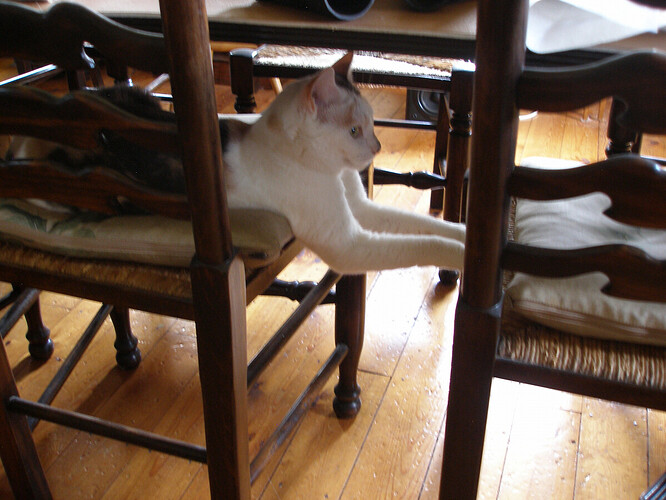 P1010002(41).JPG