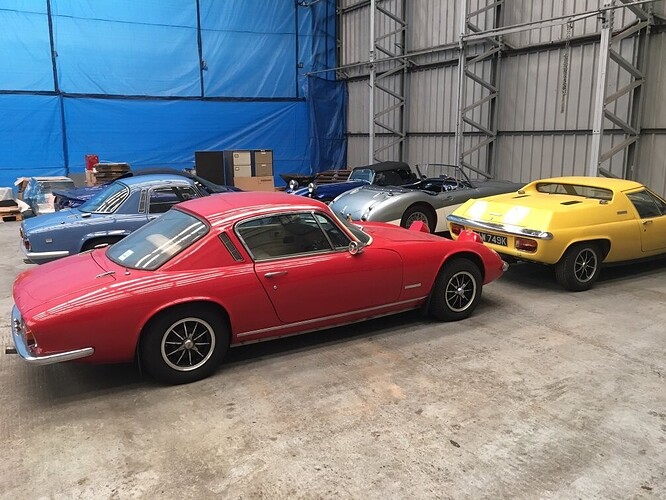 collection2.jpg