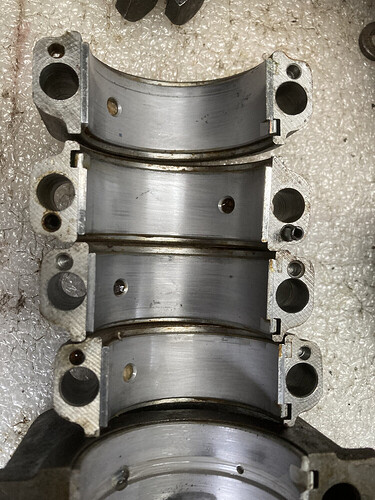 Shells1.jpg